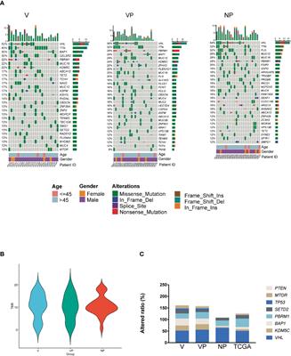 Genomic Landscape of Chinese Clear Cell Renal Cell Carcinoma Patients With Venous Tumor Thrombus Identifies Chromosome 9 and 14 Deletions and Related Immunosuppressive Microenvironment